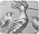 עיצוב מטבע - ציפורי ישראל